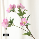 2021 Home wedding cloth exhibition decoration anti real flower photography props simulation anemone