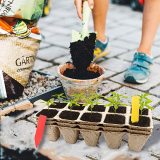 Biodegradable garden pot/peat flower pot/ paper pulp planter kit sets