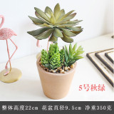 2021Manufacturers wholesale bonsai simulation flowers plastic plant ornaments artificial meat