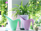 Water Beak Pouring Kettle Tool Watering Colorful Bottles with Long Nozzle Beak Dropper for Succulents Plant Flower