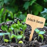 Modern Garden Oily Marker Pen Gardening Plant Label Marker Pen