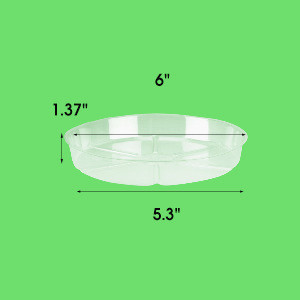 6 Inch 8 Pack Clear Plant Saucers Round Plant Saucer Clear Plastic Garden Plastic Plant Pot Saucers