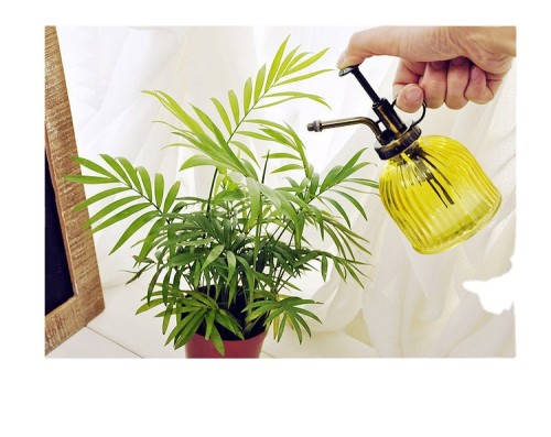 Vintage Style Glass Plant Spray Bottle Small Watering Cans Indoor for Succulents Indoor Plant