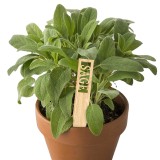 Wholesale DIY Bamboo Label Name Tag Plant Flower Stick Flower Label Sticker