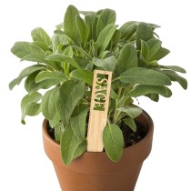 Wholesale DIY Bamboo Label Name Tag Plant Flower Stick Flower Label Sticker
