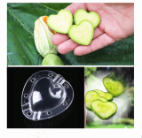 Wholesale Plastic Fruit Vegetable Mold Tool Garden Heart Shape Strawberry Mold Transparent Mold
