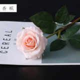 Home living room wedding bride bridesmaid holding a bouquet of flowers single branch simulation feel rose