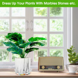 6 Inch 8 Pack Clear Plant Saucers Round Plant Saucer Clear Plastic Garden Plastic Plant Pot Saucers