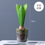 New product launch small fresh bonsai system simulation green plant dandelion flower vine Narcissus potted loose tail