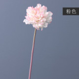 Mother's day holding a bouquet to give a teacher a gift a single moisturizing carnation artificial flower