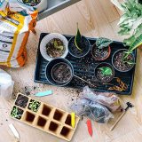 Biodegradable garden pot/peat flower pot/ paper pulp planter kit sets