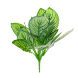 2021Bunch of potted Nordic style home decoration ornaments 5 simulated Green Peacock leaves