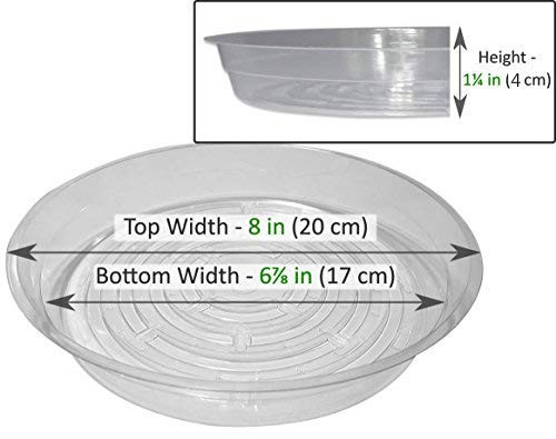 5 Pack of 8   Inch Clear Plastic Plant Saucers for Indoor