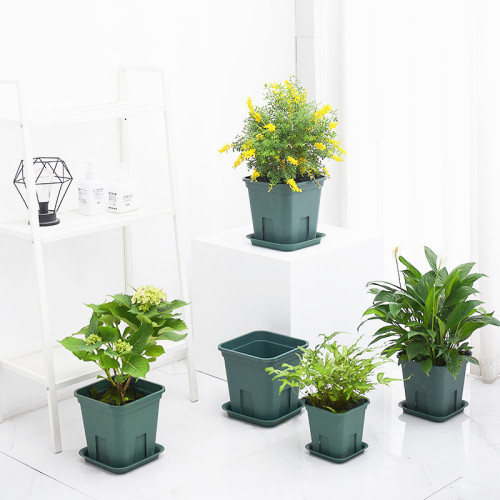 Square Root Control Gallon Bottom Support Breathable Drainage Plastic Flower Pot Tray