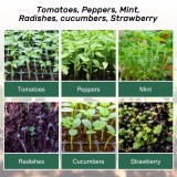 12 Hole Seedling Trays Seed Starter Plant Grow Box Propagation For Gardening Grow Starting Plant Propagator Seed Trays