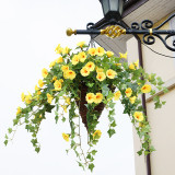 Simulated silk flower decorative flower rattan Chlorophytum wall hanging morning glory rattan Trumpet Flower
