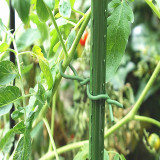 Hot Seling 16/20/77/100M TPR Binding Wire Roll Durable Binding Wire Manufacturer Outdoor Garden Planting Binding Wire