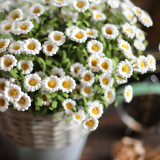 8 imitation flower daisies rural home PE rubber silk flower manufacturer wholesale