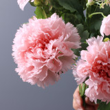 New 10 head bouquet of carnation fake flowers simulation flowers Mother's Day bouquet sent to teachers to send elders spot