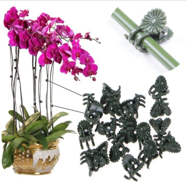 Plastic Grafting Clips Graft Clip Garden Plant Clamp Support Vegetable Flower Tomato Vine Stalks Phalaenopsis Gardening Clamp