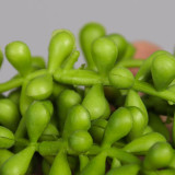 Buddha bead feel soft glue engineering accessories wall hanging succulent simulation single lover's tears