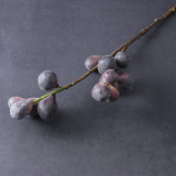Home vase arrangement decoration study living room succulent single branch foam fruit simulation FIG dried fruit