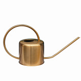 Fashionable Succulent Watering Pot Household Watering Can Modern Stainless Steel Watering Pot