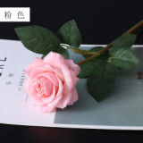 Home living room wedding bride bridesmaid holding a bouquet of flowers single branch simulation feel rose