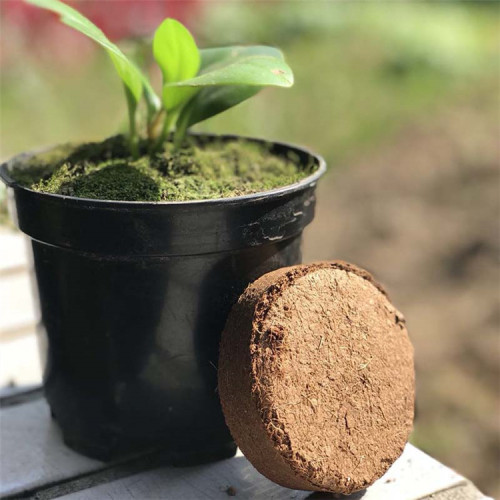 50mm Bingfeng Peat Pellets Seedling Soil Block Professional For Plant Seedling Coco Peat Pellets