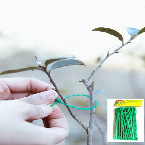100 pcs 24 cm Adjustable Plant Garden Twist Tie Plant Binder