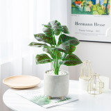 2021BanJiao bundle potted Nordic style home decoration 12 simulated Green Peacock leaves