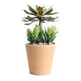 2021Manufacturers wholesale bonsai simulation flowers plastic plant ornaments artificial meat