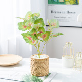 2021Simulated green plant bundle potted Nordic style home decoration 5 alum roots