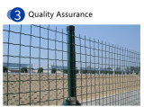 High Quality Long Lived Durable Decorative Garden Fences Building Network Garden Fences