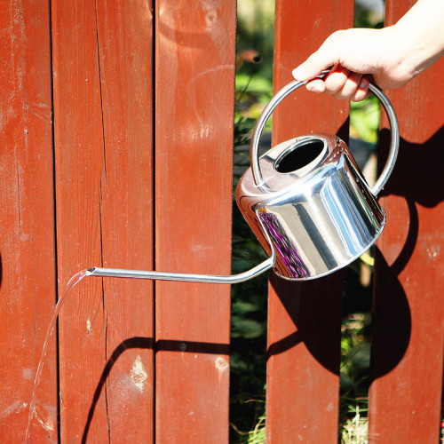 Fashionable Succulent Watering Pot Household Watering Can Modern Stainless Steel Watering Pot