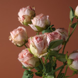 2021Simulation dry rose dry flower withered char edge silk flower wedding decoration