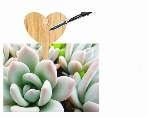 Hot Selling Eco-Friendly gardening flower plant labels High Quality plant bamboo label Outdoor Garden bamboo plant labels