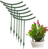 Semicircle Plant Support Cage Rings Plant Supports For Garden Flower Support