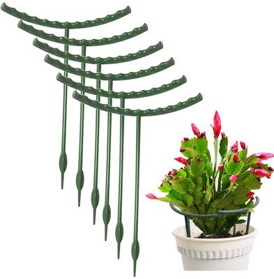 Semicircle Plant Support Cage Rings Plant Supports For Garden Flower Support