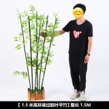 Indoor green decoration landscaping  bamboo balcony courtyard landscaping simulation plant flat headed Moso Bamboo