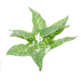 2021Simulated green plant bundle potted Nordic style home decoration 9 horseshoe leaves
