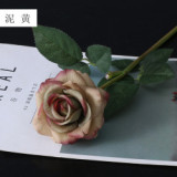 Home living room wedding bride bridesmaid holding a bouquet of flowers single branch simulation feel rose
