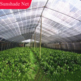 Wholesale Different Sizes Black Sunshade Net Sun Protective Sunshade Net Gardening Greenhouse Shading Net Sunshade