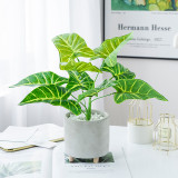 2021Simulated green plant bundle potted Nordic style home decoration 9 horseshoe leaves