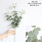 2021Eucalyptus ins Nordic money leaf simulation flower manufacturer family decoration wedding plant wall