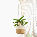 Cotton Rope Hanging Flower Pot Indoor Woven Plant Basket Flower Pot Modern Storage Basket