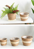 Portable Flower Basket Weaving Seaweed Pots Flower Decorative Desktop Storage Box Storage Basket