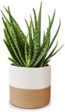 Cotton Rope Plant Basket Flower Pot Woven Basket Storage Basket Organizer Modern Home Decoration