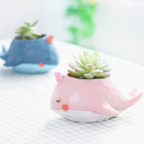 Cute Cartoon Whale Island Pink Flower Pot Micro Landscape Potted Flower Pot