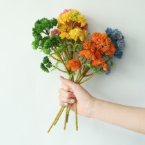 2021Rice fruit succulent plant plant wall family decoration wedding simulation flower 6 large cauliflower